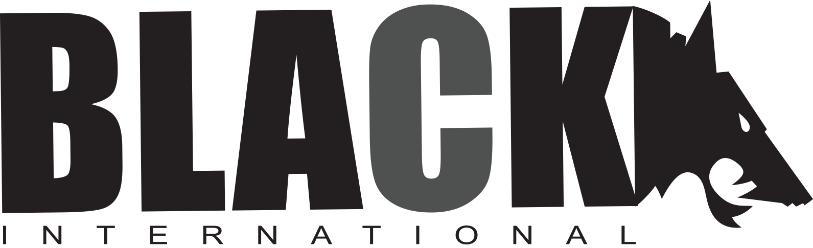 Footer Logo